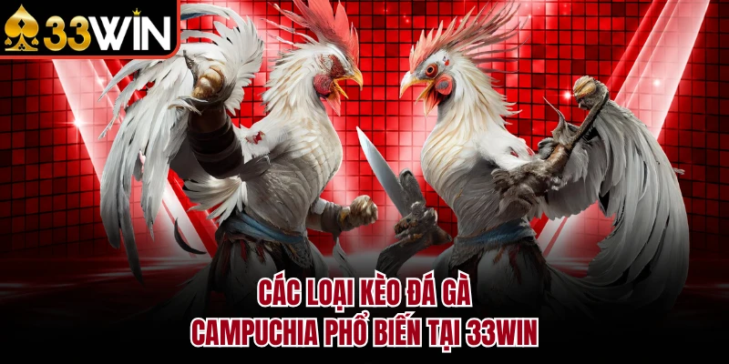 Các loại kèo đá gà Campuchia phổ biến tại 33WIN