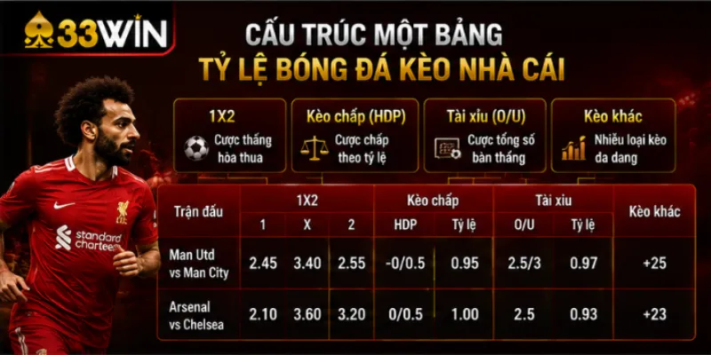 Cấu trúc một bảng tỷ lệ bóng đá kèo nhà cái